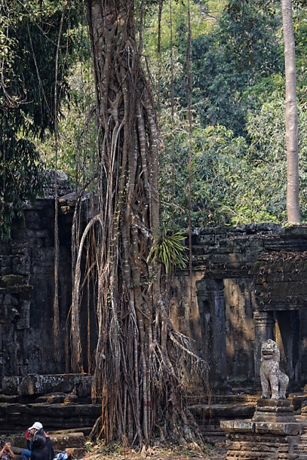 Preah Khan-040